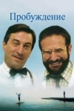 Пробуждение (1990)