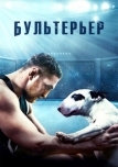 Бультерьер (2022)