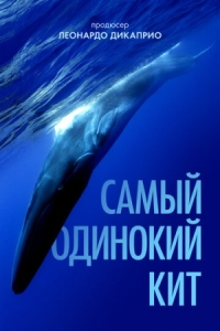 Постер Самый одинокий кит (2021) (The Loneliest Whale: The Search for 52)