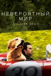 Постер Невероятный мир глазами Энцо (2019) (The Art of Racing in the Rain)