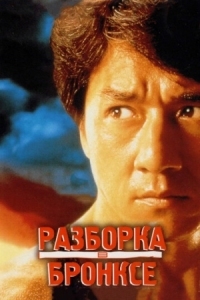 Постер Разборка в Бронксе (1995) (Hong faan kui)