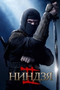 Постер Ниндзя 2 (2013) (Ninja: Shadow of a Tear)