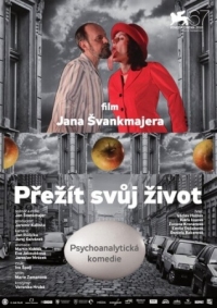 Постер Пережить свою жизнь (2010) (Prezít svuj zivot (teorie a praxe))