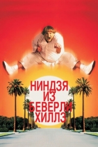 Постер Ниндзя из Беверли Хиллз (1997) (Beverly Hills Ninja)