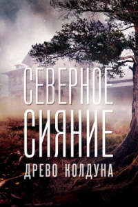 Постер Северное сияние. Древо колдуна. Фильм восьмой (2020) 