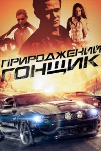 Постер Прирожденный гонщик (2011) (Born to Race)