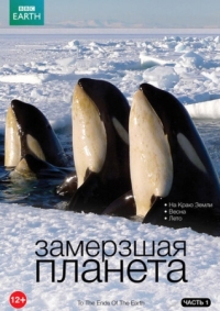 Постер BBC: Замерзшая планета (2011) (Frozen Planet)