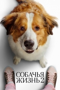 Постер Собачья жизнь 2 (2019) (A Dog's Journey)