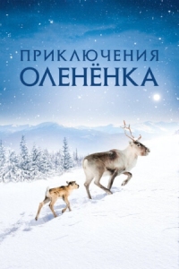 Постер Приключения олененка (2018) (Aïlo: Une odyssée en Laponie)