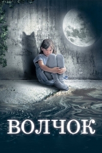 Постер Волчок (2009) 