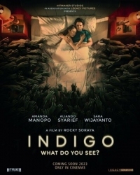 Постер Индиго (2023) (Indigo)