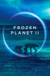 Постер BBC: Замерзшая планета 2 (2022) (Frozen Planet II)