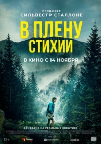 Постер В плену стихии (2024) (Lost on a Mountain in Maine)