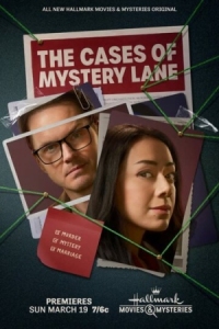 Постер Нераскрытые дела Мистери Лейн (2023) (The Cases of Mystery Lane)