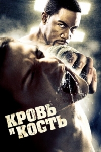 Постер Кровь и кость (2009) (Blood and Bone)