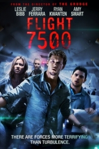 Постер 7500 (2014) (Flight 7500)