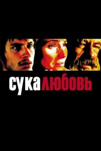 Постер Сука-любовь (2000) (Amores perros)