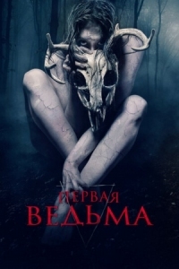 Постер Первая ведьма (2019) (The Wretched)