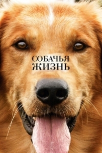 Постер Собачья жизнь (2017) (A Dog's Purpose)