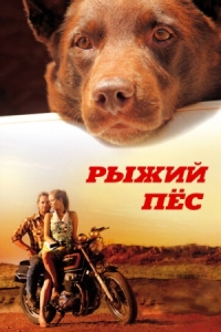 Постер Рыжий пес (2011) (Red Dog)