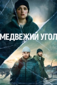 Постер Медвежий угол (2020) (Björnstad)