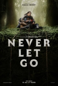 Постер Затерянное место (2024) (Never Let Go)