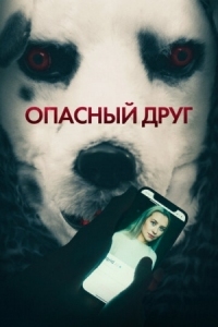 Постер Опасный друг (2022) (Good Boy)