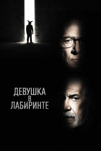 Постер Девушка в лабиринте (2019) (L'uomo del labirinto)