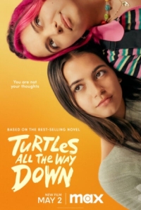 Постер Черепахи – и нет им конца (2024) (Turtles All the Way Down)