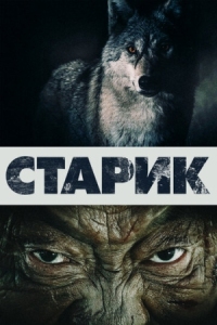 Постер Старик (2012) (Шал)