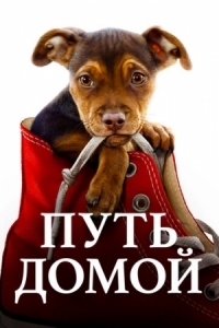 Постер Путь домой (2019) (A Dog's Way Home)