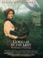 Постер Гориллы в тумане (1988)