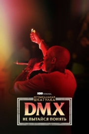 Постер аниме Музыкальная шкатулка. DMX: Не пытайся понять (2021)