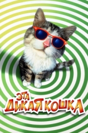 Постер Эта дикая кошка (1997)