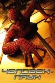 Постер Человек-паук (2002)