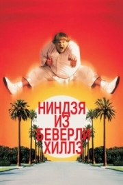 Постер аниме Ниндзя из Беверли Хиллз (1997)