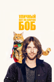 Постер Уличный кот по кличке Боб (2016)