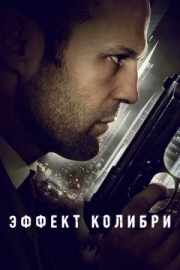 Постер Эффект колибри (2012)