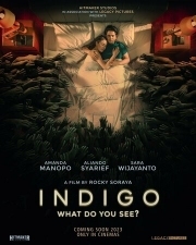 Постер Индиго (2023)