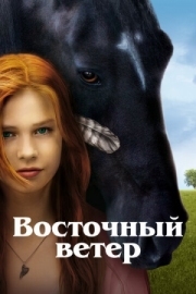 Постер аниме Восточный ветер (2013)