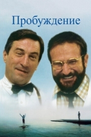 Постер Пробуждение (1990)