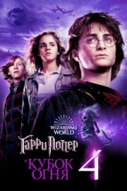 Постер Гарри Поттер и Кубок огня (2005)