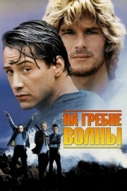 Постер На гребне волны (1991)