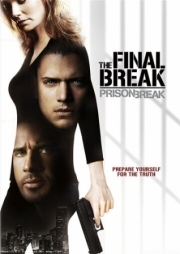 Постер Побег из тюрьмы: Финальный побег (2009)