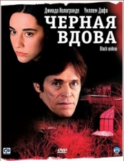 Постер Черная вдова (2005)