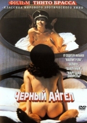 Постер Черный ангел (2002)