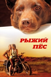 Постер Рыжий пес (2011)