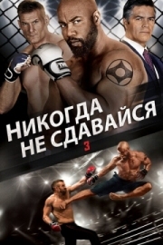 Постер Никогда не сдавайся 3 (2016)