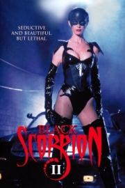Постер Черный скорпион 2: В эпицентре взрыва (1996)