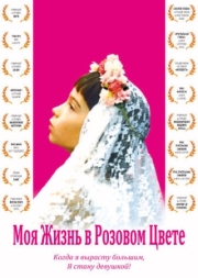 Постер Моя жизнь в розовом цвете (1997)